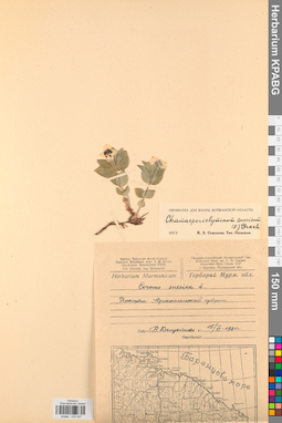 KPABG033427
