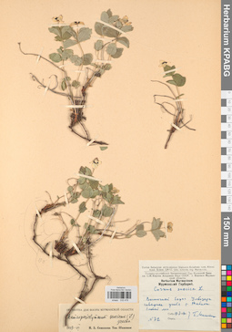 KPABG033476