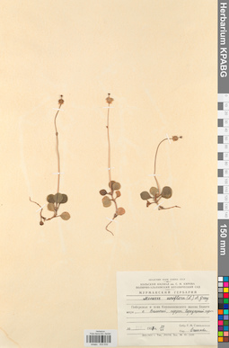 KPABG033532