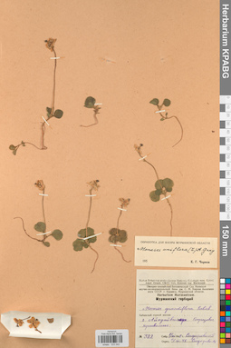 KPABG033542