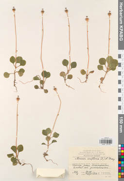 KPABG033544