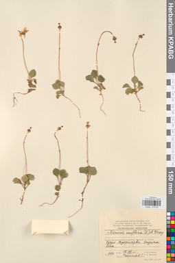 KPABG033545