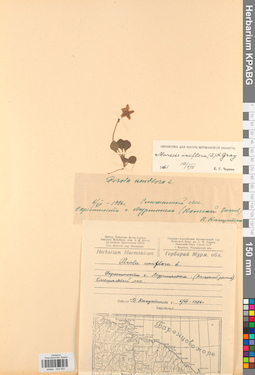 KPABG033552