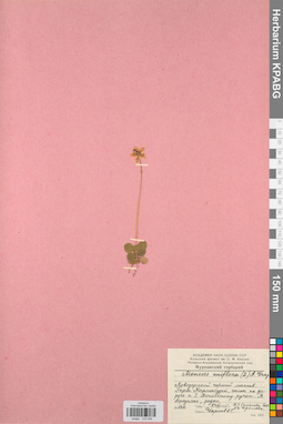 KPABG033555