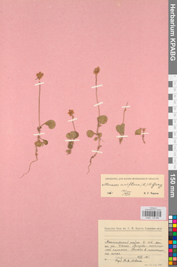 KPABG033566