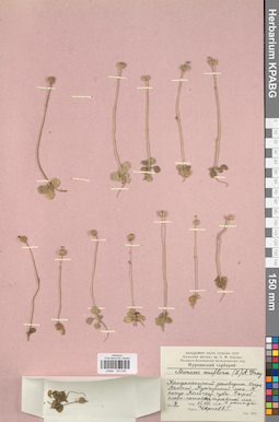 KPABG033592
