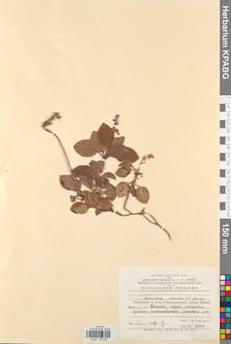 KPABG033609