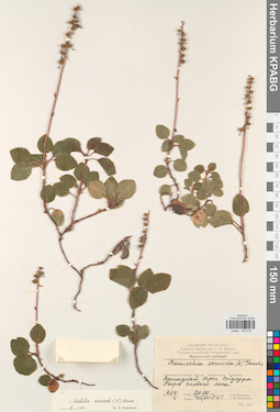 KPABG033615