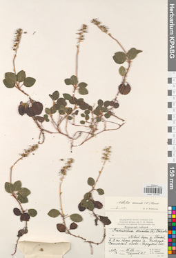 KPABG033635