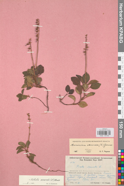 KPABG033636