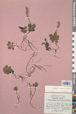 KPABG033725