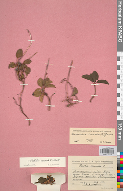 KPABG033734