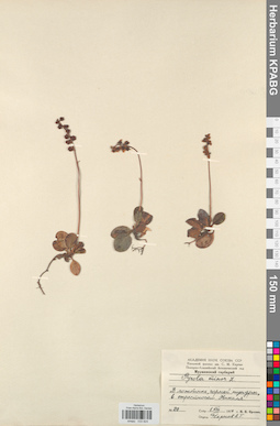 KPABG033824