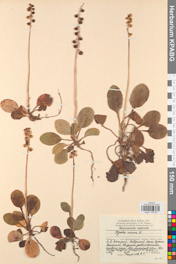KPABG033835