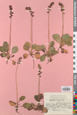 KPABG033841