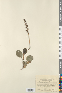 KPABG033862