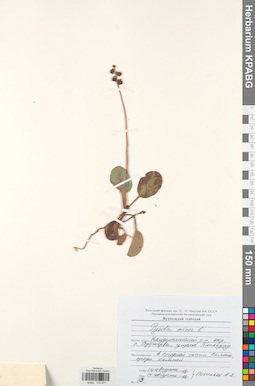 KPABG033877