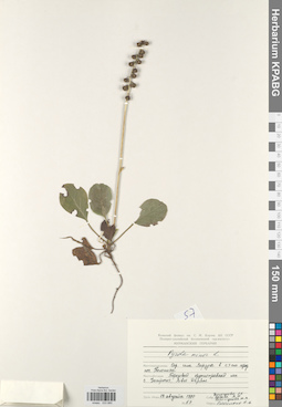 KPABG033880