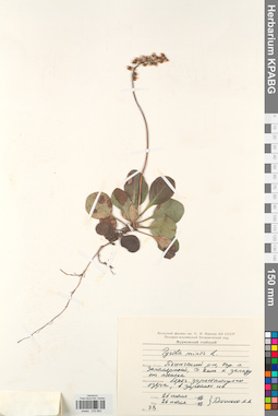 KPABG033883