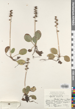 KPABG033894
