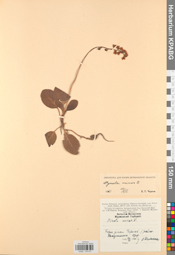 KPABG033910