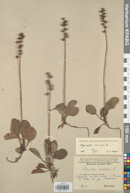 KPABG033914