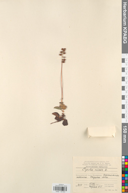KPABG033923