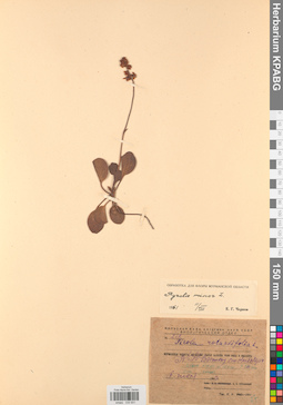 KPABG033931