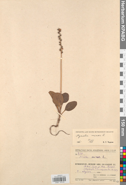 KPABG033935