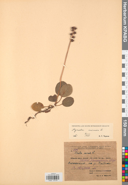 KPABG033947