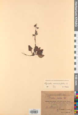 KPABG033993