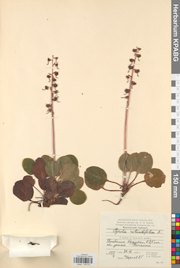 KPABG034014