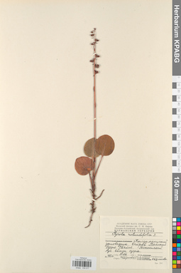 KPABG034017