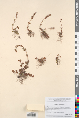 KPABG019692