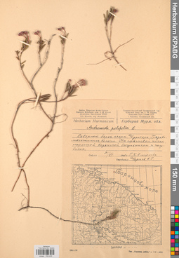 KPABG034435