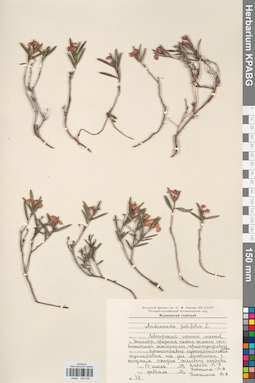 KPABG034438