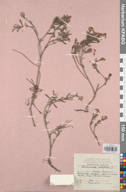 KPABG034469