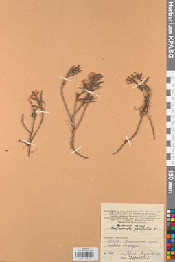 KPABG034484