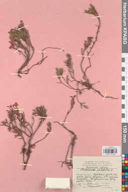 KPABG034492
