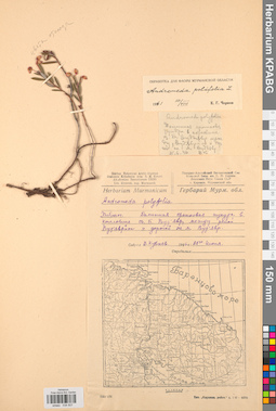 KPABG034507