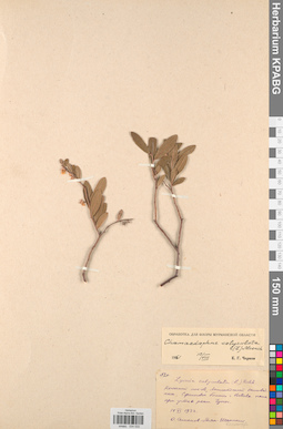KPABG034532