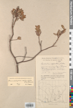 KPABG034575