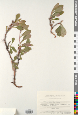 KPABG034670