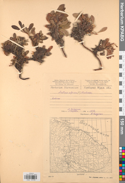 KPABG034689