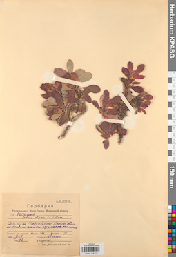 KPABG034718