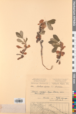 KPABG034728