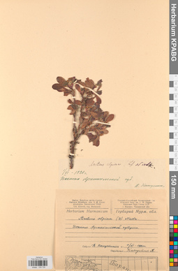 KPABG034729