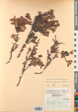 KPABG034734