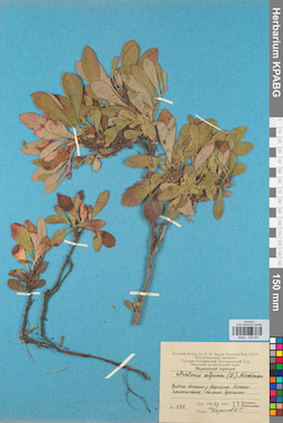 KPABG034764