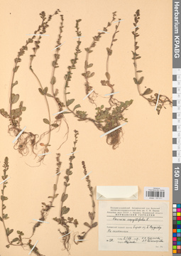 KPABG037011